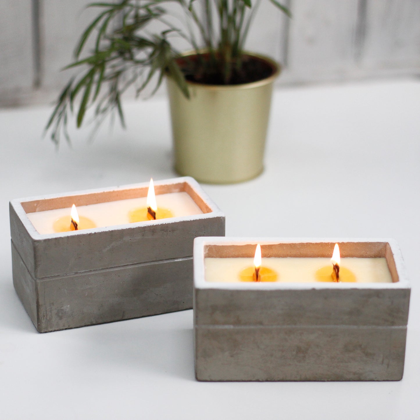 Large Concrete Soy Woodwick Candle  - Clove & Dark Sandal