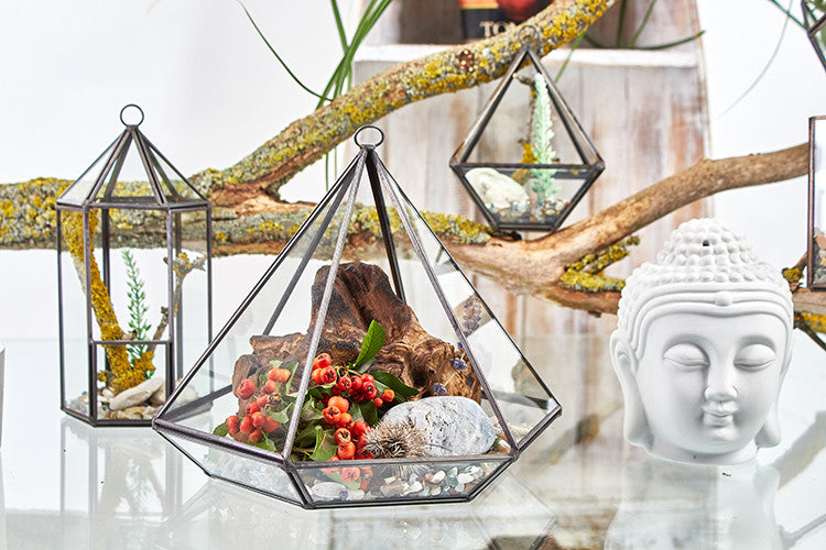 Glass Terrarium - Large Pyramid