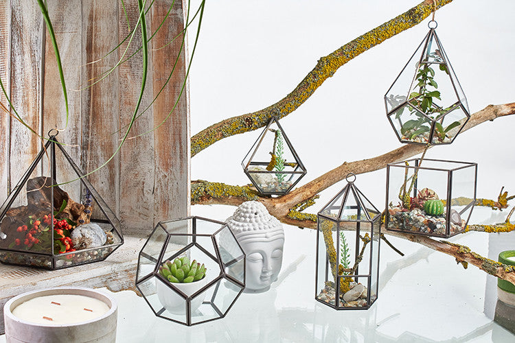 Glass Terrarium - Small Diamond