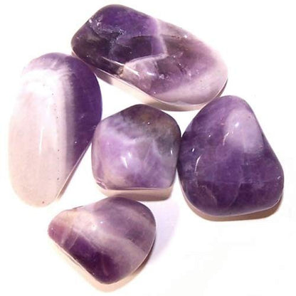 Pack of 24 L Tumble Stone - Amethyst Banded