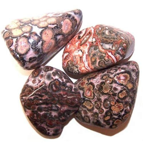 Pack of 24 L Tumble Stone - Leopard Skin Jasper L