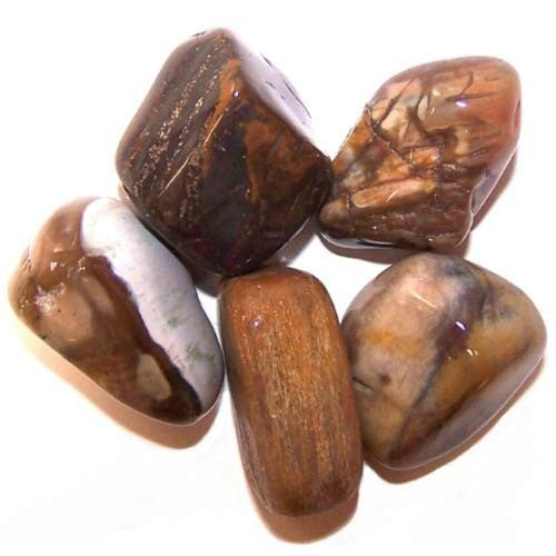 Pack of 24 L Tumble Stone - Petrified Wood L