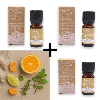 Agnes & Cat - Energy Boost Set Of 3 Essential Oil Blends