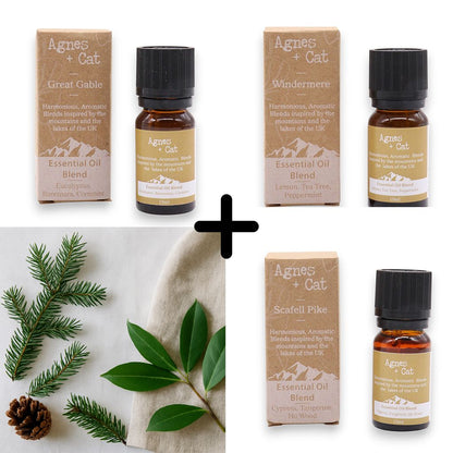 Agnes & Cat - Forest Retreat Set Of 3 Essential Oil Blends